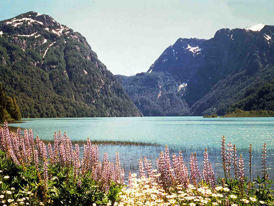limay